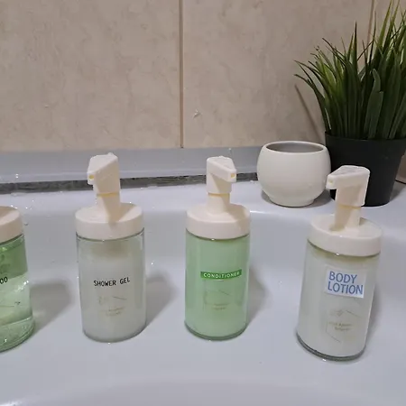 Wolf Βελιγράδι