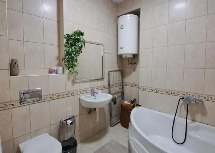 Wolf 贝尔格莱德