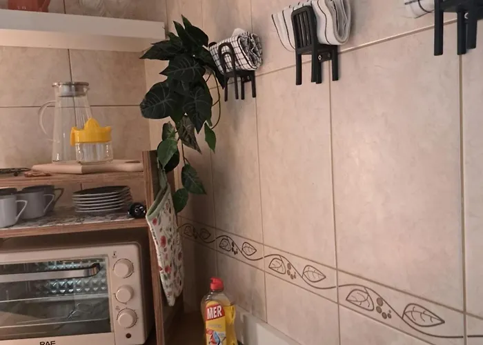 Apartmán Wolf Bělehrad