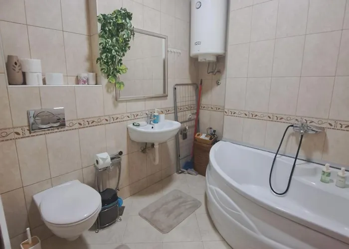 Wolf * 贝尔格莱德