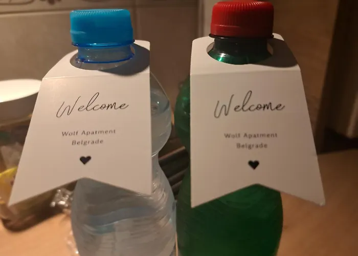 Wolf Apartmán Bělehrad